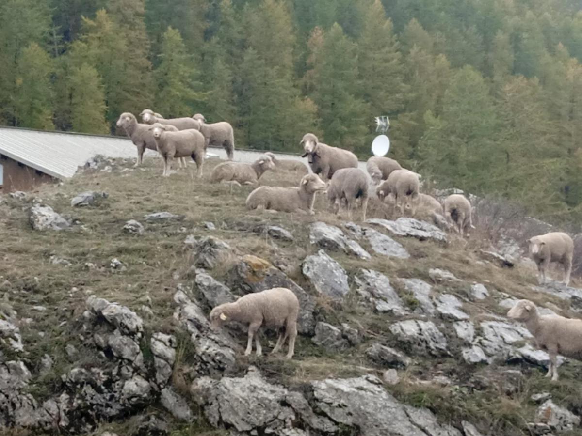 Residences De Melisa La Foux D'Allos Eksteriør bilde